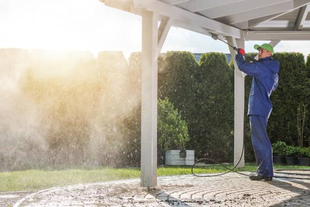 Best Solar Panel Cleaning  in Candlewick Lake, IL