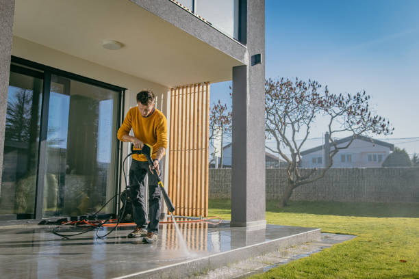 Best Pre-Holiday Cleaning  in Candlewick Lake, IL